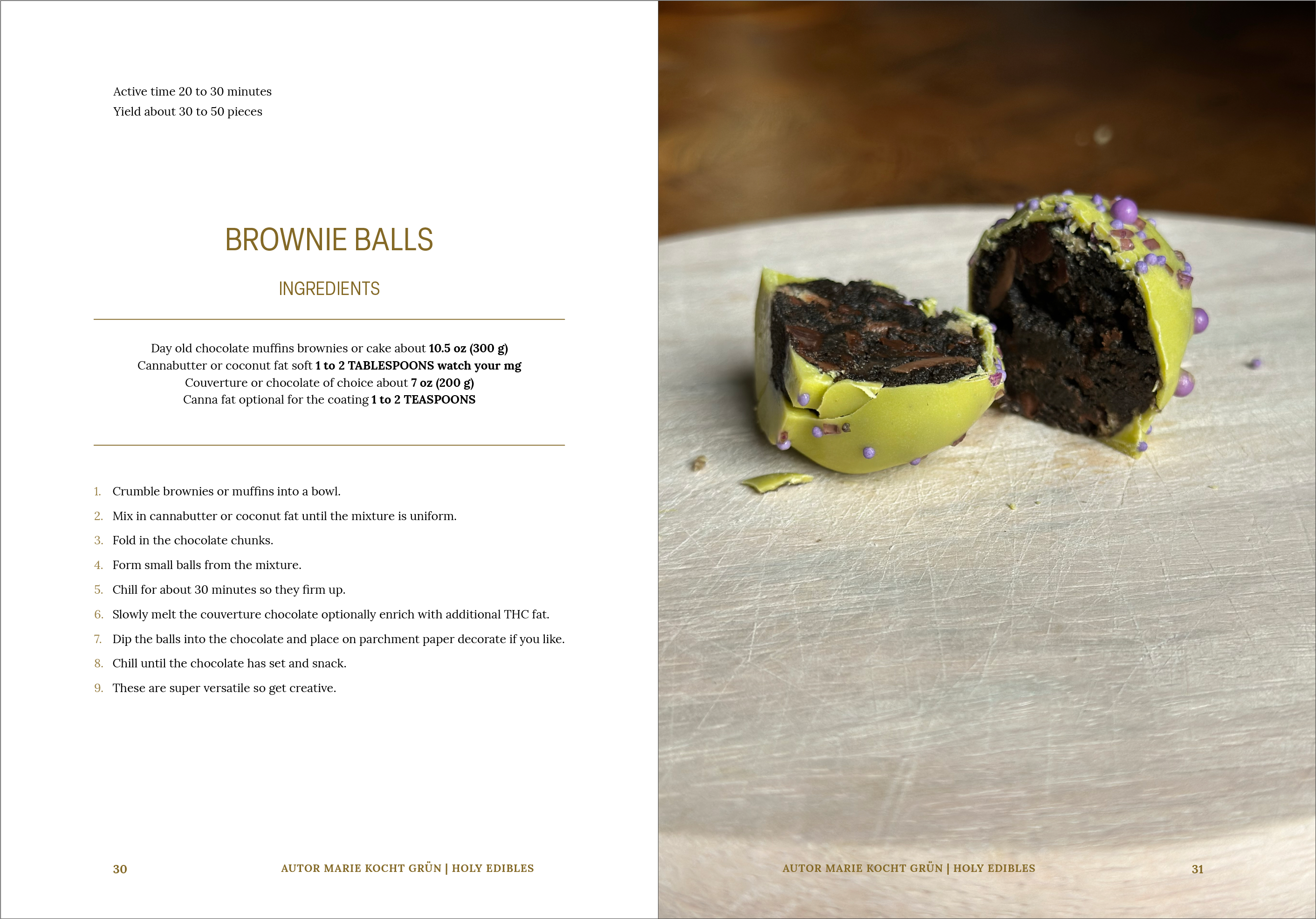 HOLY EDIBLES & FOUNDATIONS (PDF Download) – BUNDLE English Version 💚