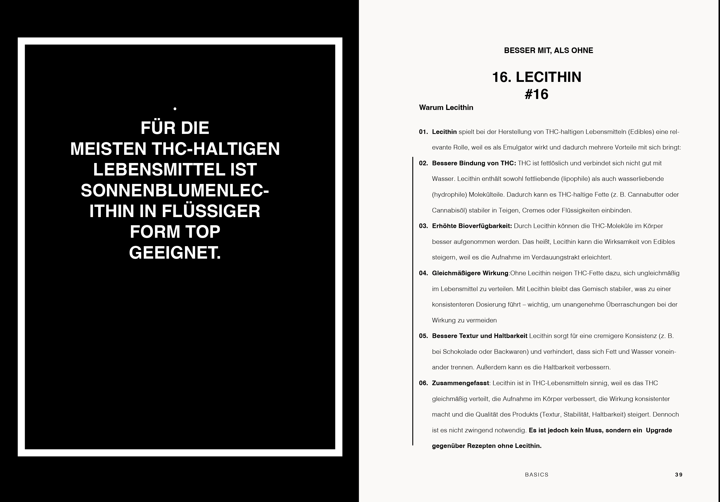 HOLY FOUNDATIONS 💚🍃 - Die Basis für fast alles, was danach kommt - gebundenes Buch 💚🍃